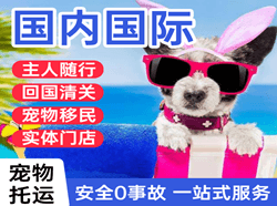 朔州滋润空运代理国际宠物托运 【国